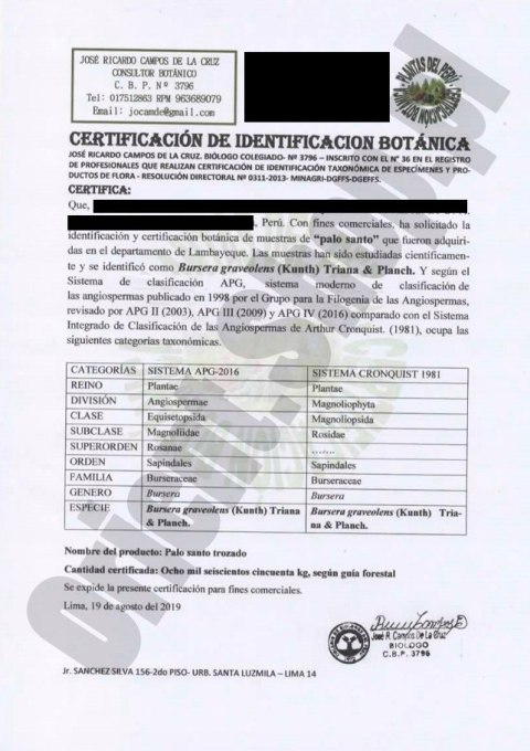 PALO SANTO KADZIDŁO NATURALNE PERU + LAWENDA DIY 5szt ok. 55g LUVIME
